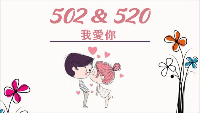  502 là gì Dãy số 502 tượng trưng cho điều gì trong tình yêu 