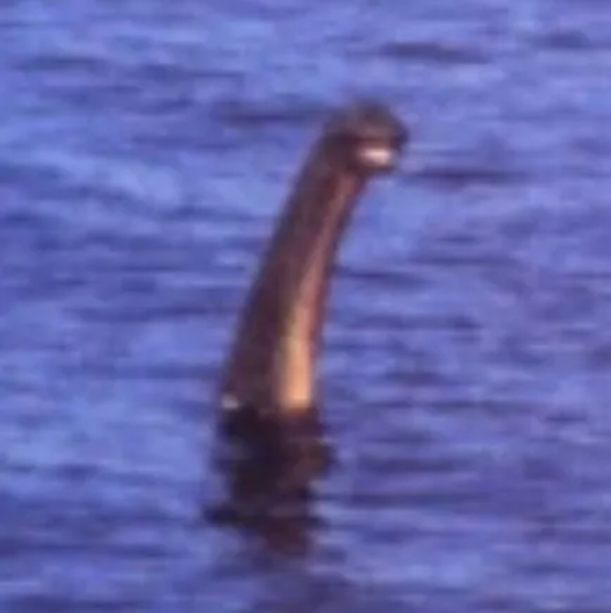 
            Bức ảnh mới nhất chụp 'quái vật Loch Ness' đang gây xôn xao
    