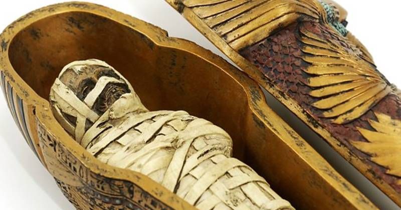 View -             Phân tích xác ướp Ai Cập, chuyên gia tái mặt thấy thứ lạ lùng    