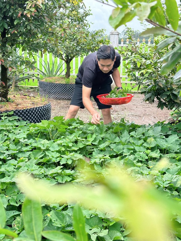 View -             Nhà vườn 3.000 m2 ngập rau xanh của diễn viên Minh Luân    