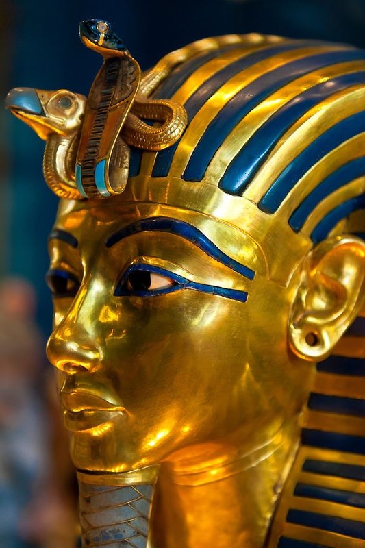             Truy thủ phạm ẩn sau lời nguyền trong mộ Tutankhamun, chuyên gia 'tái mặt' vì...    