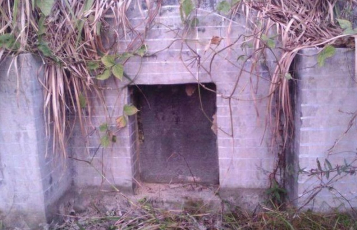 View -             Mở mộ 500 tuổi của nhà sư, tái mặt thấy 2 'quái thú' chạy ra    