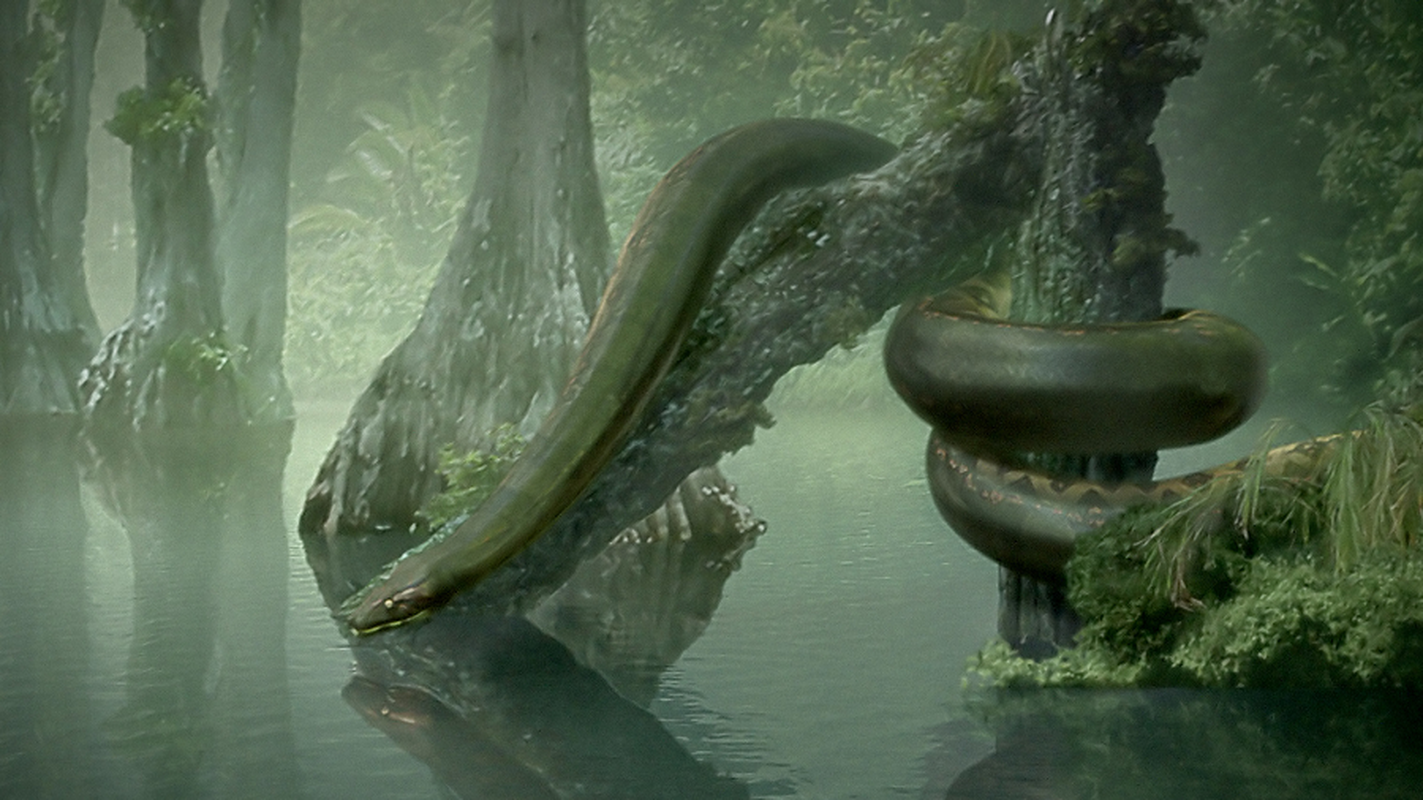 View -             Kinh hãi loài rắn khổng lồ, đáng sợ nhất từng 'tung hoành' trên Trái Đất    