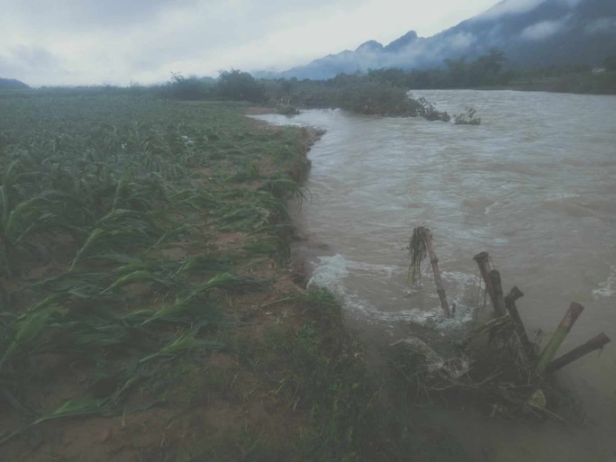 View -             Nhiều địa phương, tuyến đường ở Thanh Hóa và Nghệ An bị chia cắt, cô lập do mưa lớn    