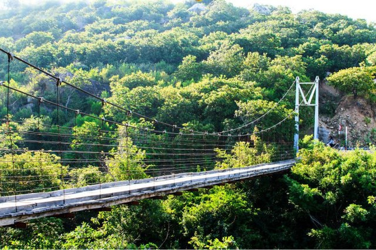 View -             Mãn nhãn ''kho báu' vô giá trời ban ở vườn quốc gia Núi Chúa    