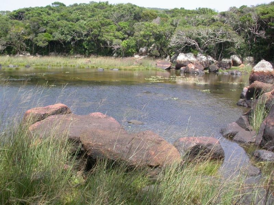 View -             Mãn nhãn ''kho báu' vô giá trời ban ở vườn quốc gia Núi Chúa    