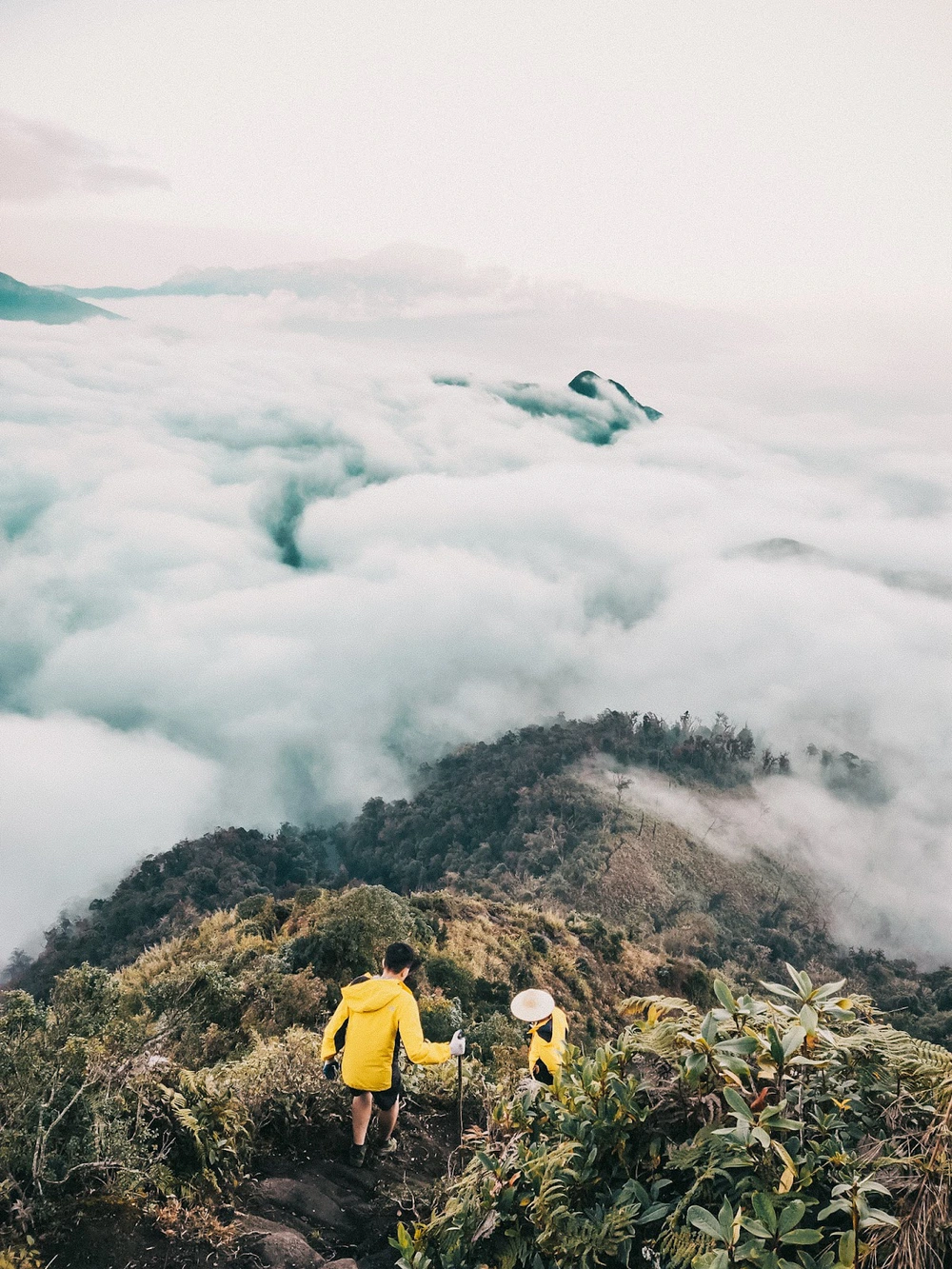 View -             Phát hiện điểm leo núi có cái tên đặc biệt cách Hà Nội hơn 400km, du khách nhận xét 'không phải ai cũng đi được'    