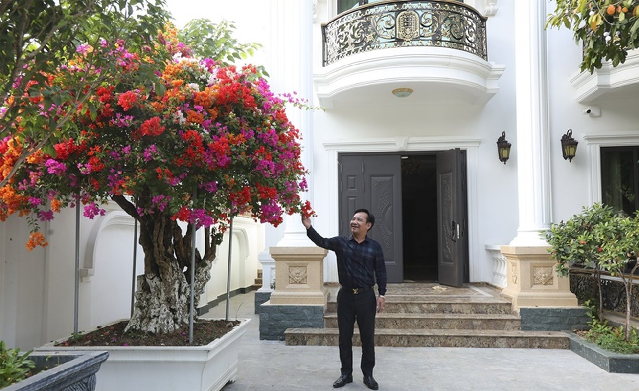 View -             Cận cảnh biệt thự nhà vườn như lâu đài của nghê sĩ Quang Tèo    