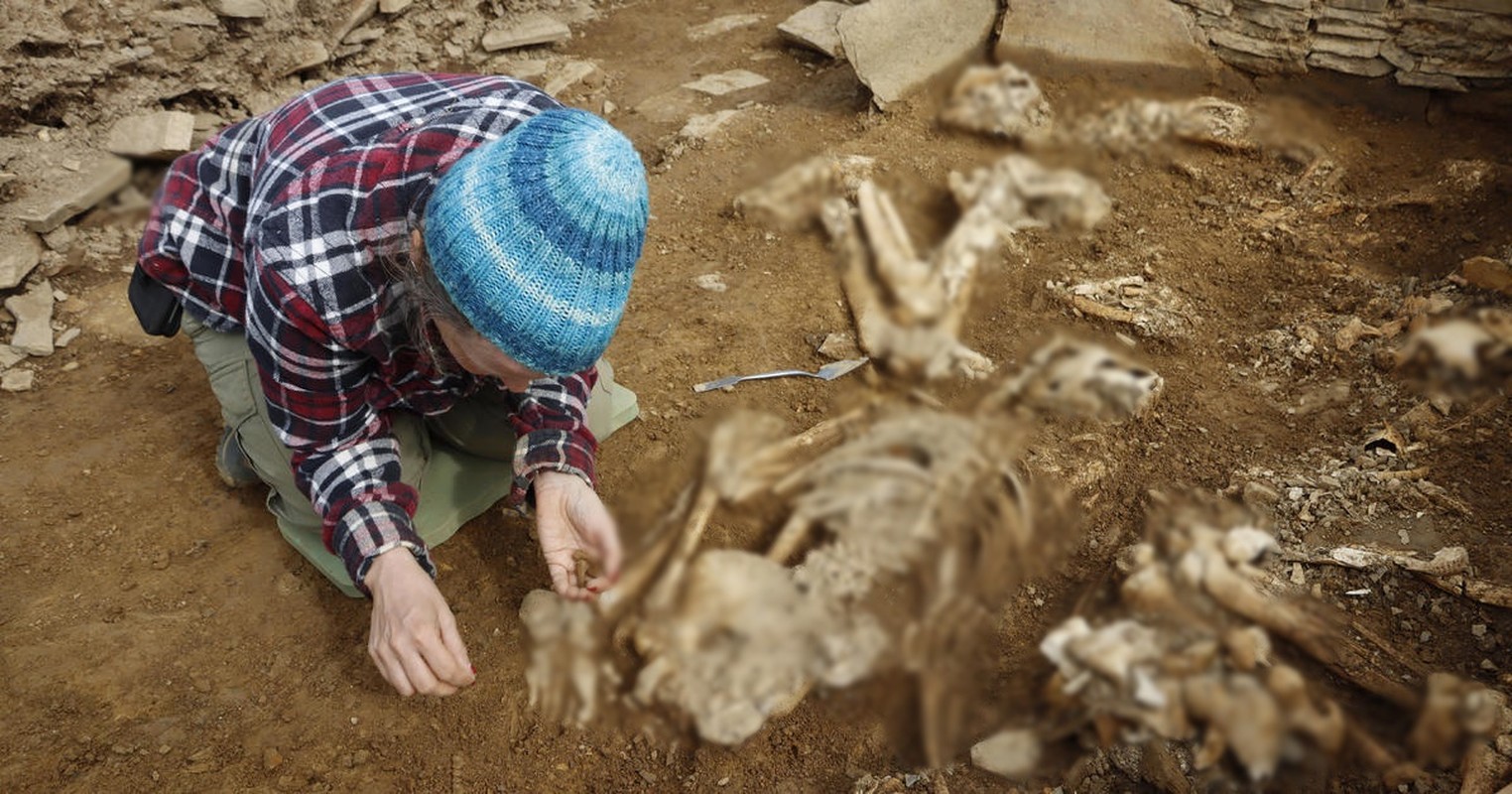             Khai quật mộ cổ 5.000 tuổi, chuyên gia 'ngã quỵ' nthấy cảnh tượng này    