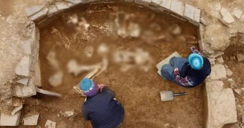 View -             Khai quật mộ cổ 5.000 tuổi, chuyên gia 'ngã quỵ' nthấy cảnh tượng này    