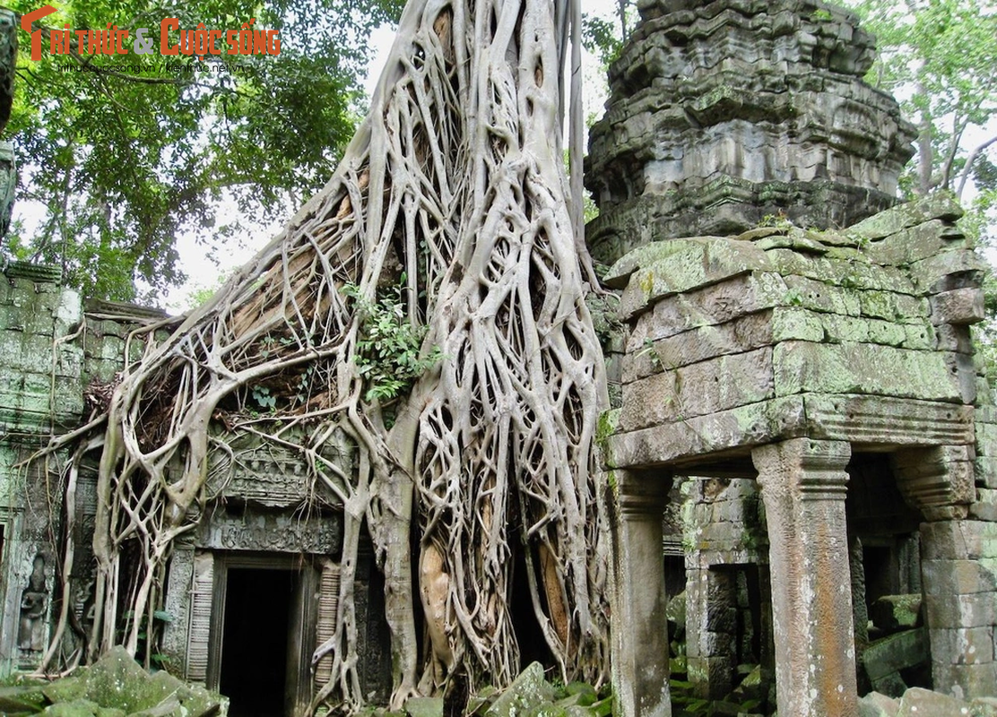 Hé lộ 8 bí mật giấu kín ngàn năm về kỳ quan Angkor Wat