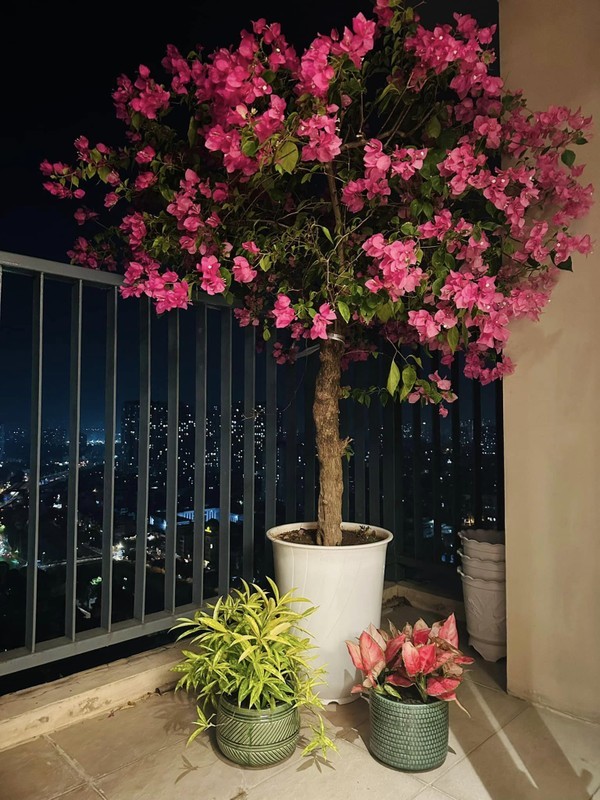 View -             Chiêm ngưỡng góc ban công cực lãng mạn trong penthouse của MC Thành Trung    
