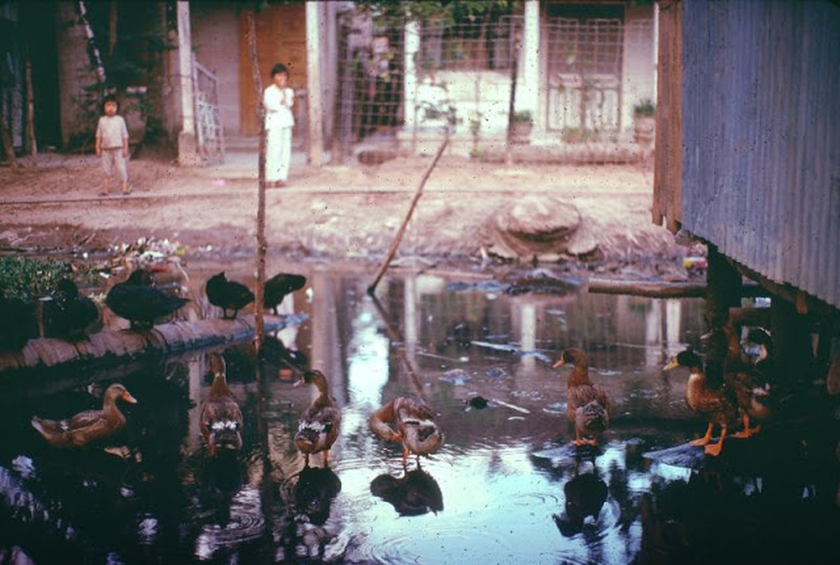 View -             Hé lộ ảnh màu ít biết về Việt Nam cuối những năm 1960    