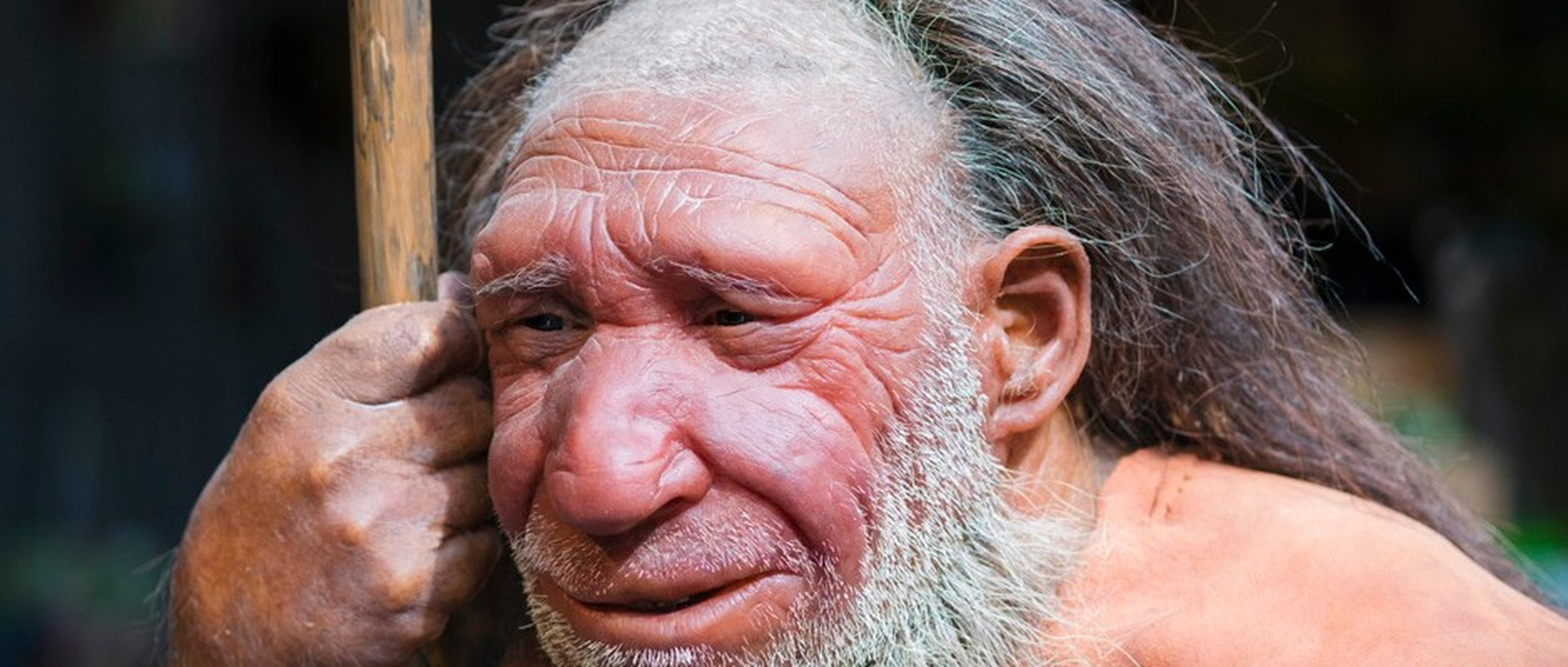             Phát hiện người Neanderthals biết nói trước người hiện đại: Lịch sử phải viết lại?    