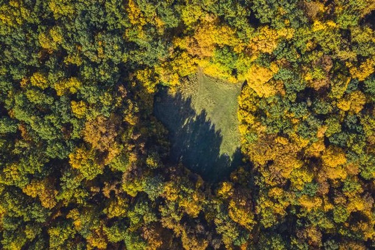             Ghé thăm khu rừng ma ám đáng sợ nhất thế giới ở Romania    