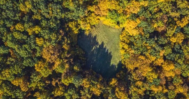             Ghé thăm khu rừng ma ám đáng sợ nhất thế giới ở Romania    