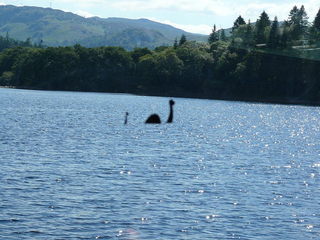             Nóng: Thợ săn quái vật hồ Loch Ness tóm được sinh vật huyền thoại?    