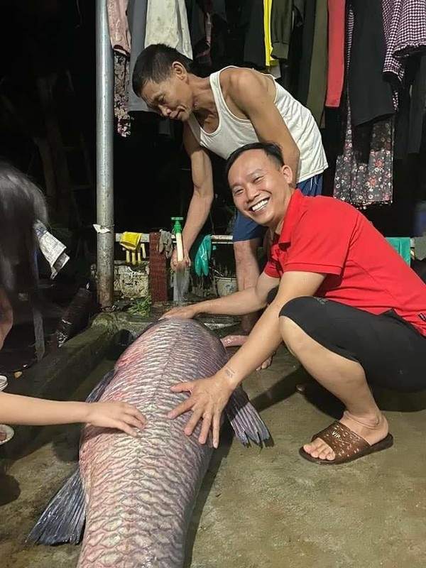             Cá mè 50 kg và loạt quái ngư khủng sa lưới ngư dân Việt    