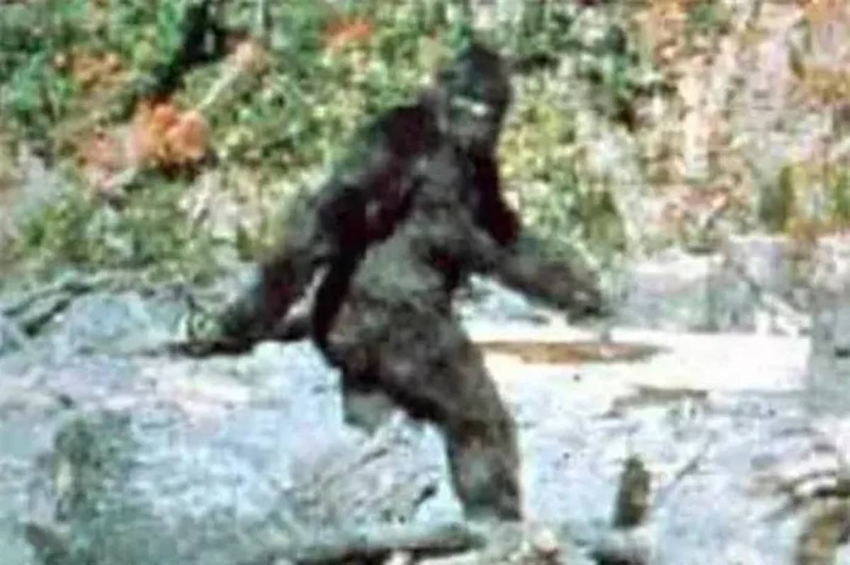 View -             Lộ hình ảnh chân thực nhất về Bigfoot: Quái vật hoàn toàn có thật?    