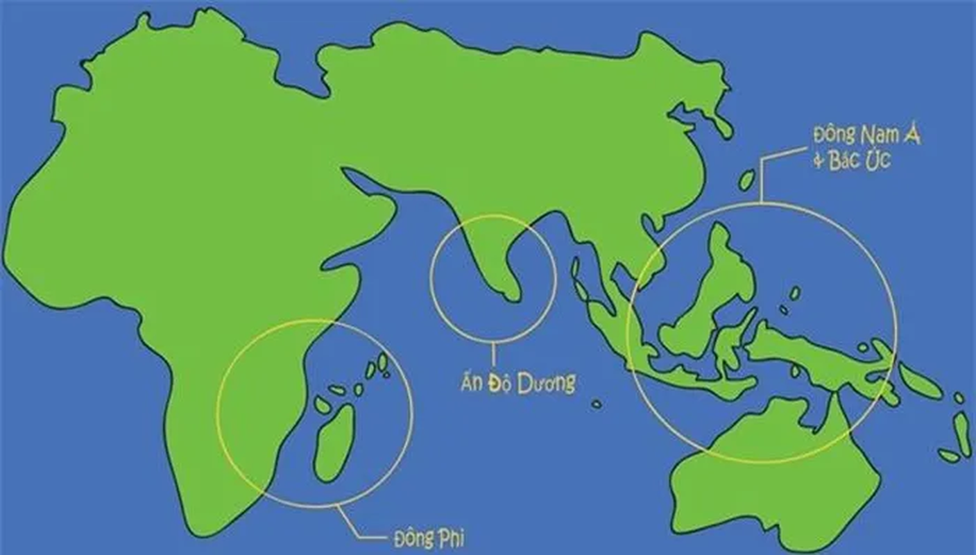 View -             Việt Nam sở hữu 'quái ngư' có lông': Là nàng tiên cá trong truyền thuyết?    