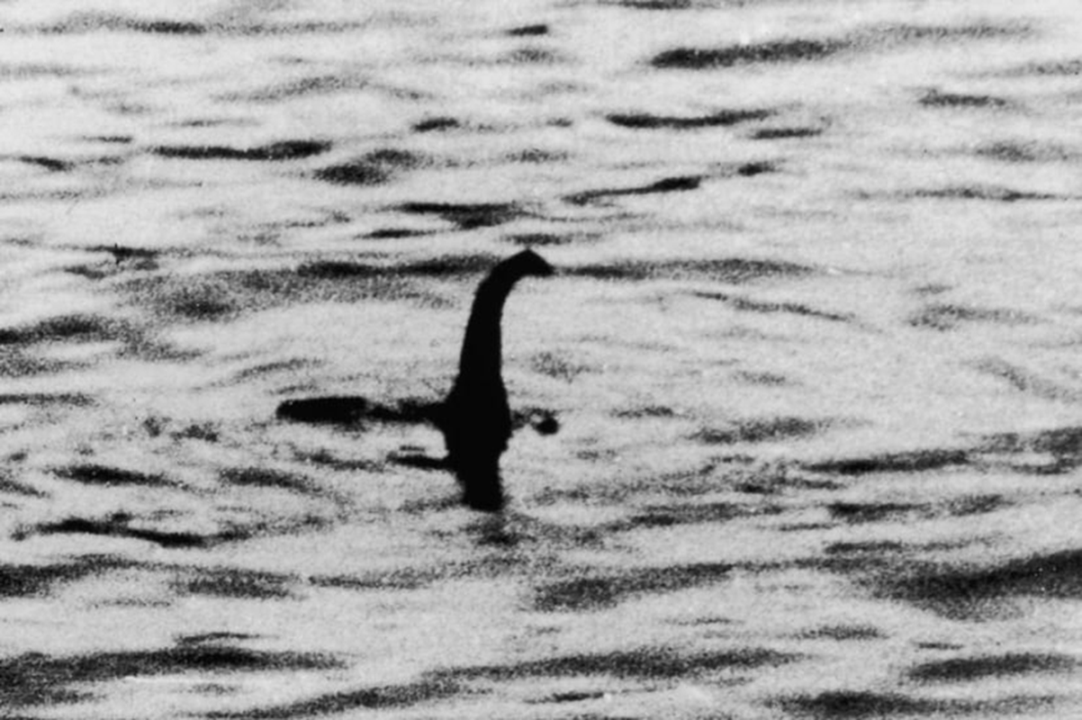 View -             Đang dạo chơi, hốt hoảng thấy quái vật hồ Loch Ness 'hiện hồn'    