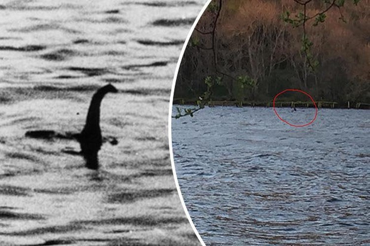 View -             Đang dạo chơi, hốt hoảng thấy quái vật hồ Loch Ness 'hiện hồn'    