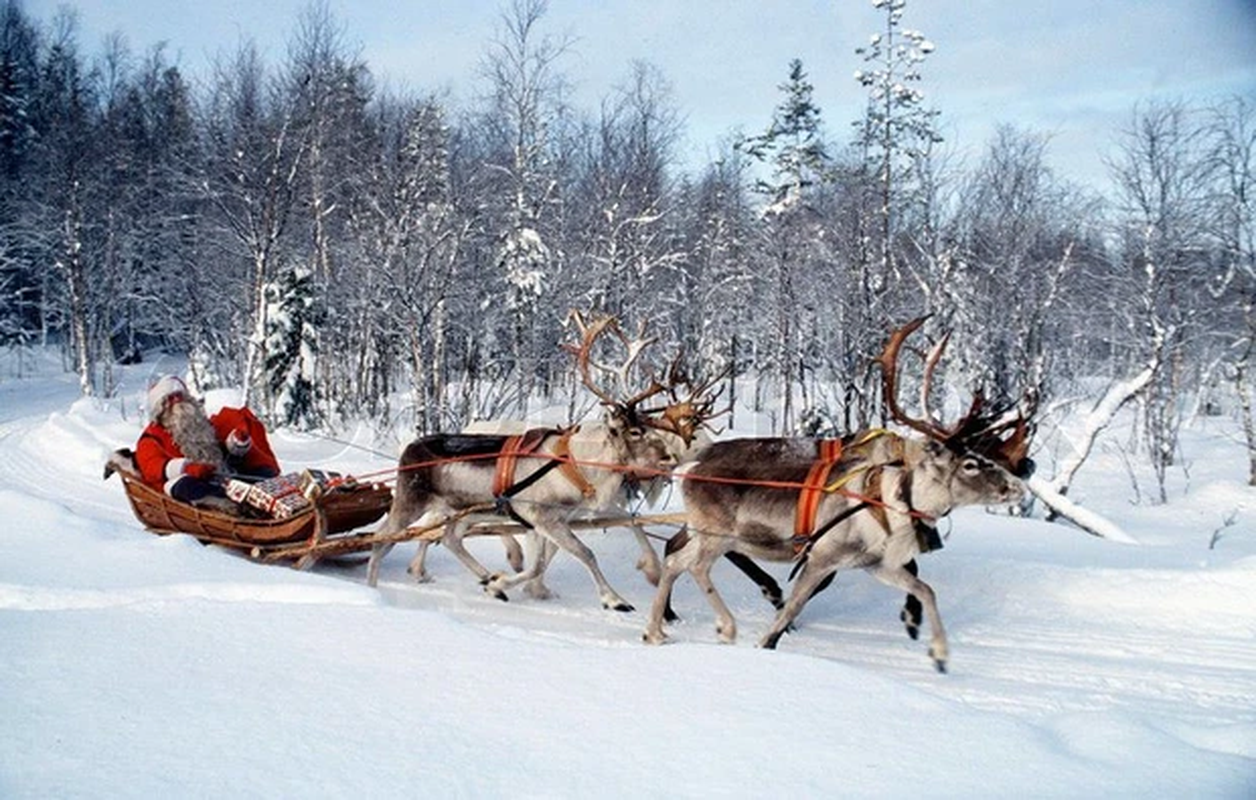 View -             Sự thật ngỡ ngàng chưa hé lộ về Giáng sinh và ông già Noel    