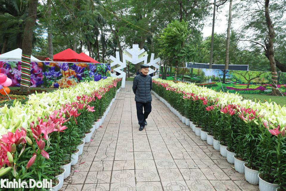 View -             Hơn 60.000 gốc hoa được trưng bày tại 'Hà Nội miền hoa - Flower Land 2023'    