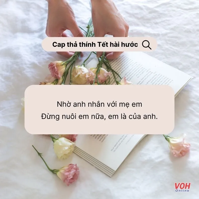 View -             Tổng hợp STT, cap thả thính Tết hài hước, bá đạo    