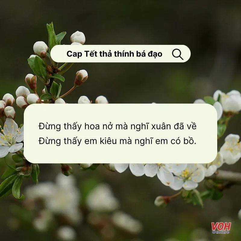 View -             Tổng hợp STT, cap thả thính Tết hài hước, bá đạo    