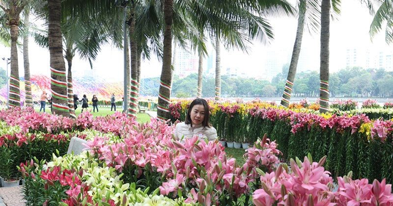             Hơn 60.000 gốc hoa được trưng bày tại 'Hà Nội miền hoa - Flower Land 2023'    