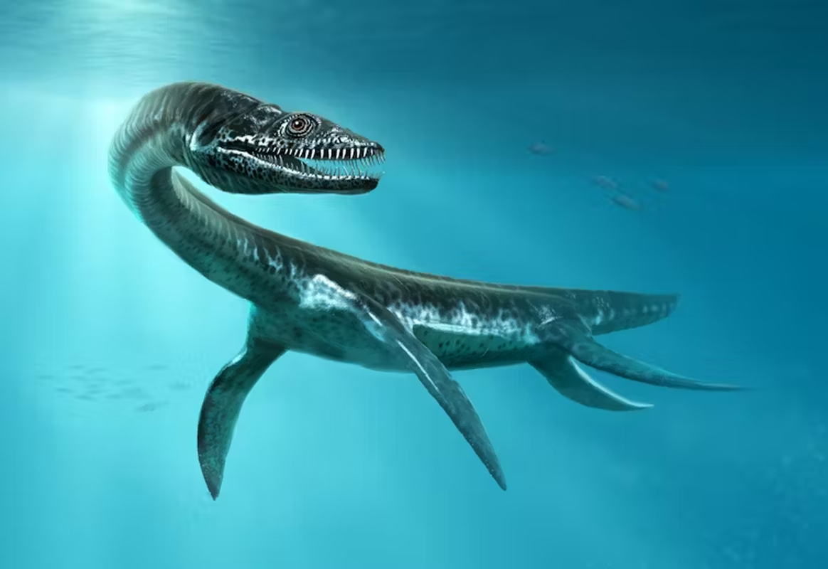 View -             Xét nghiệm DNA, hé lộ lịch sử có thật về quái vật hồ Loch Ness    