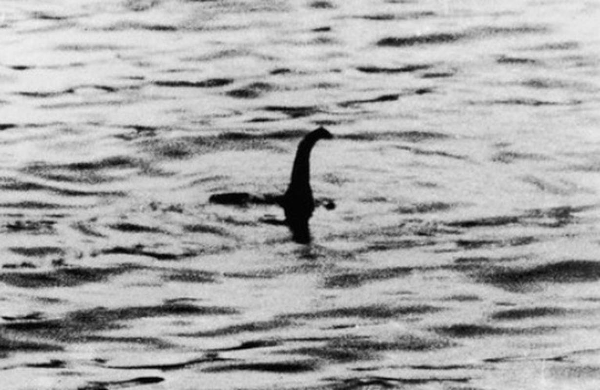 View -             Xét nghiệm DNA, hé lộ lịch sử có thật về quái vật hồ Loch Ness    