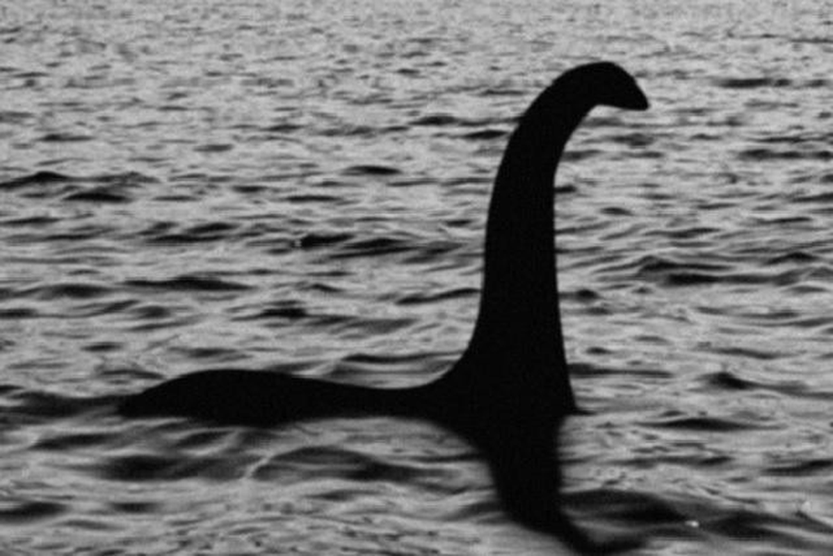 View -             Đi dạo bờ sông, vô tình bắt gặp phiên bản quái vật hồ Loch Ness    