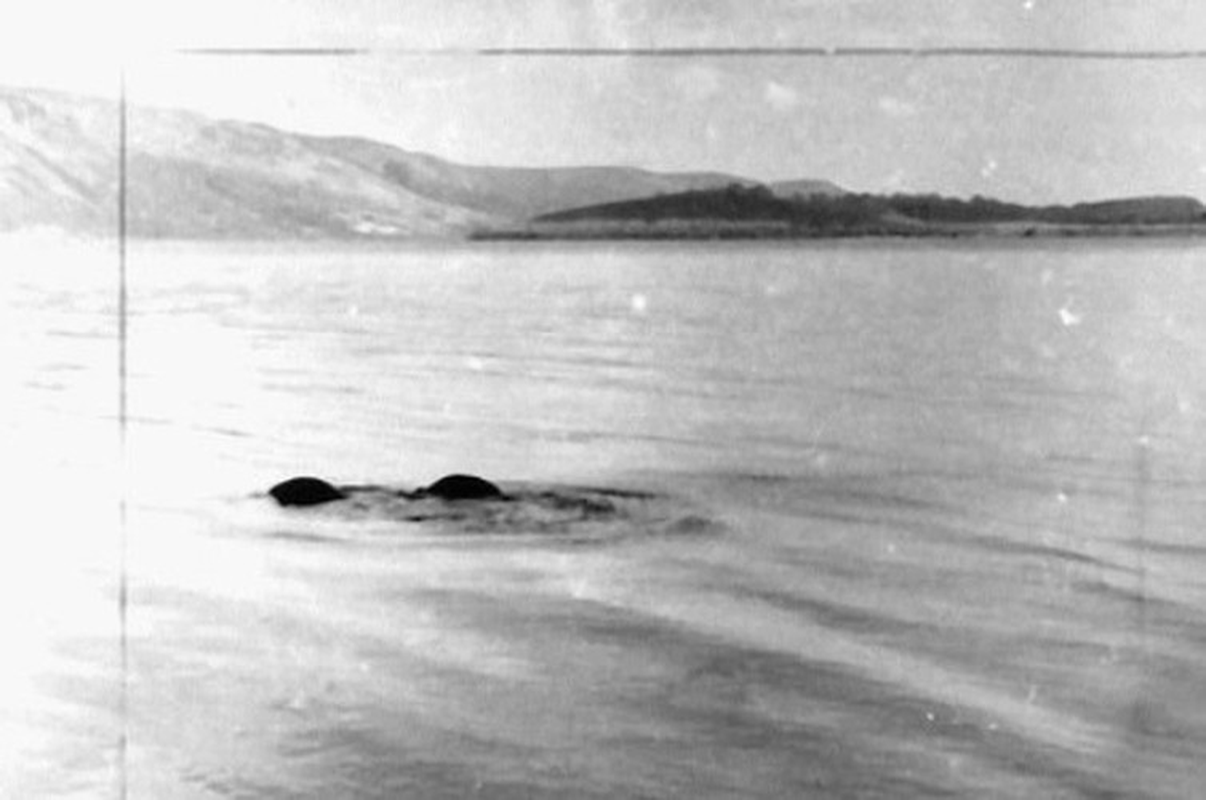 View -             Đi dạo bờ sông, vô tình bắt gặp phiên bản quái vật hồ Loch Ness    
