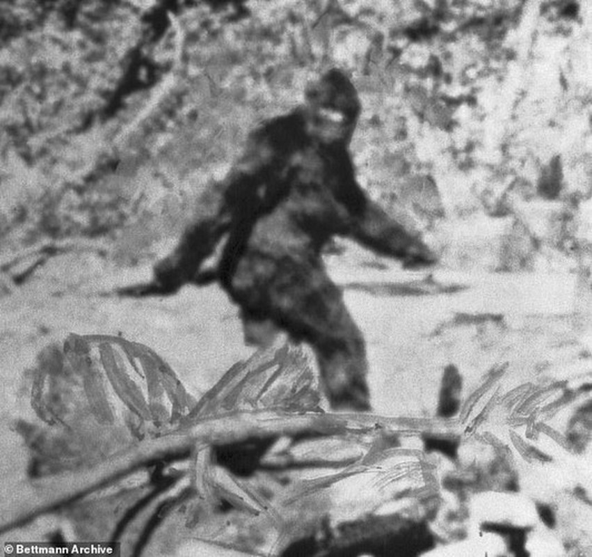 View -             Xem ảnh cũ, bất ngờ thấy quái vật Bigfoot 'hiện nguyên hình'    