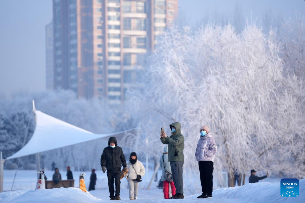 View -             Choáng ngợp cảnh sương muối phủ trắng Cáp Nhĩ Tân mùa đông    