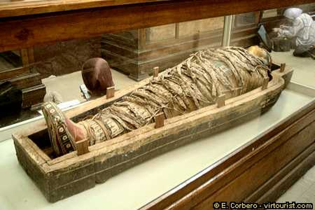 View -             Vì sao người Ai Cập cổ đại kiên quyết loại bỏ tim khi ướp xác?    
