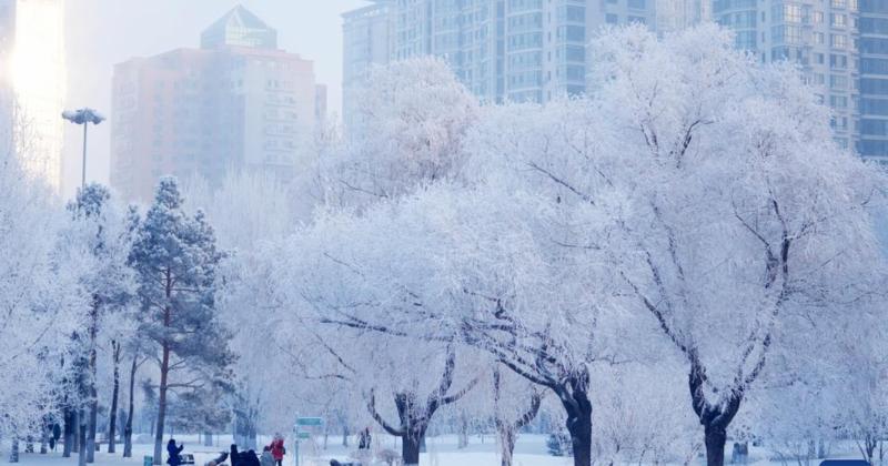             Choáng ngợp cảnh sương muối phủ trắng Cáp Nhĩ Tân mùa đông    
