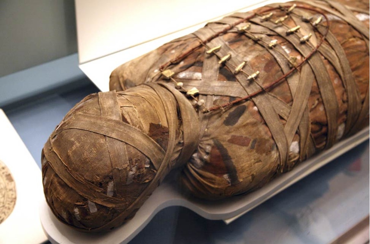 View -             Vì sao người Ai Cập cổ đại kiên quyết loại bỏ tim khi ướp xác?    