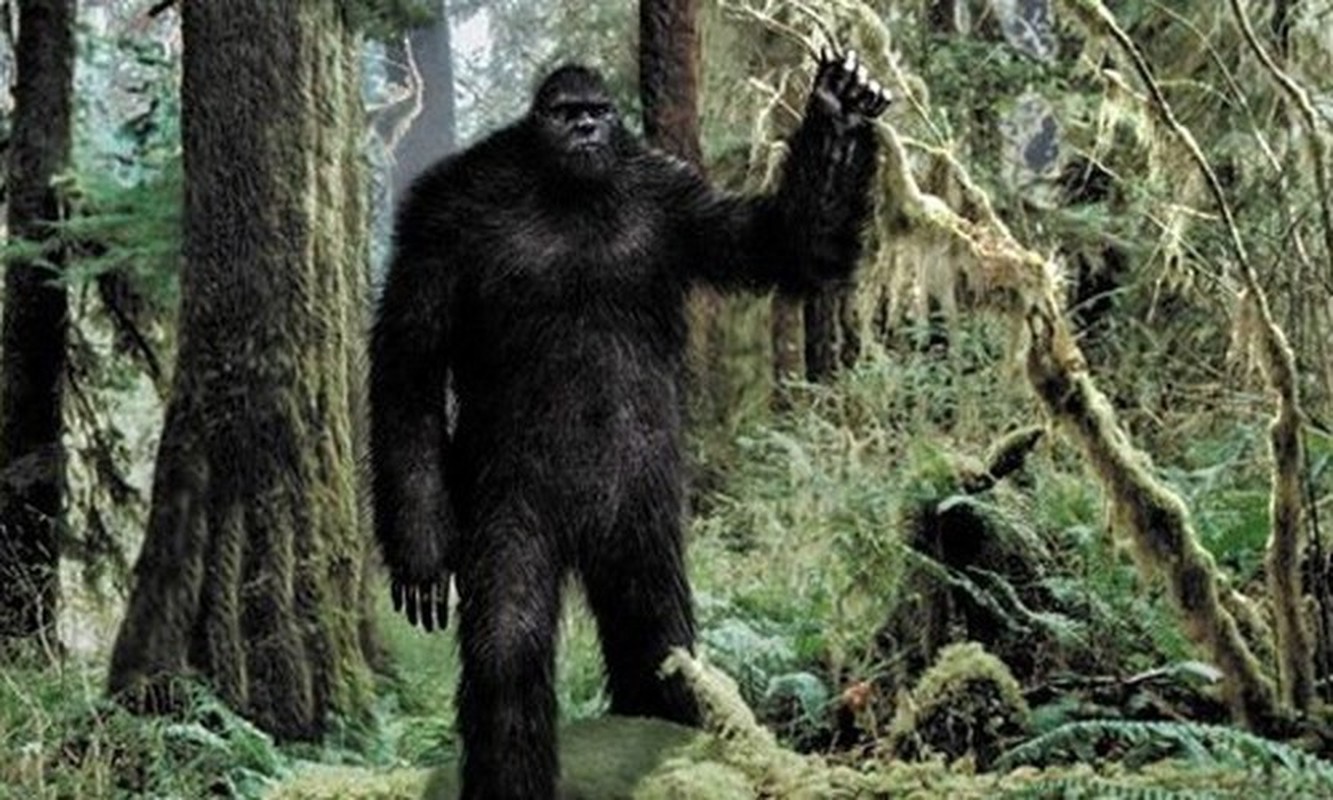 View -             Tiết lộ chấn động về quái vật Bigfoot khiến thế giới ngỡ ngàng    