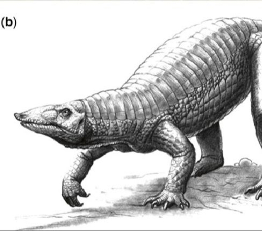             Lộ diện quái thú 218 triệu tuổi đầu đại bàng, mình cá sấu    