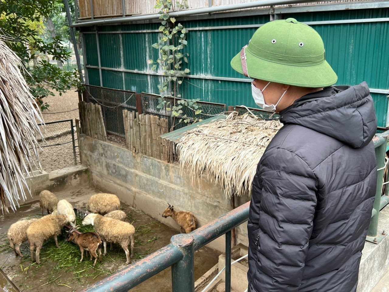 View -             Vườn thú Hà Nội không để các con thú đói, rét    