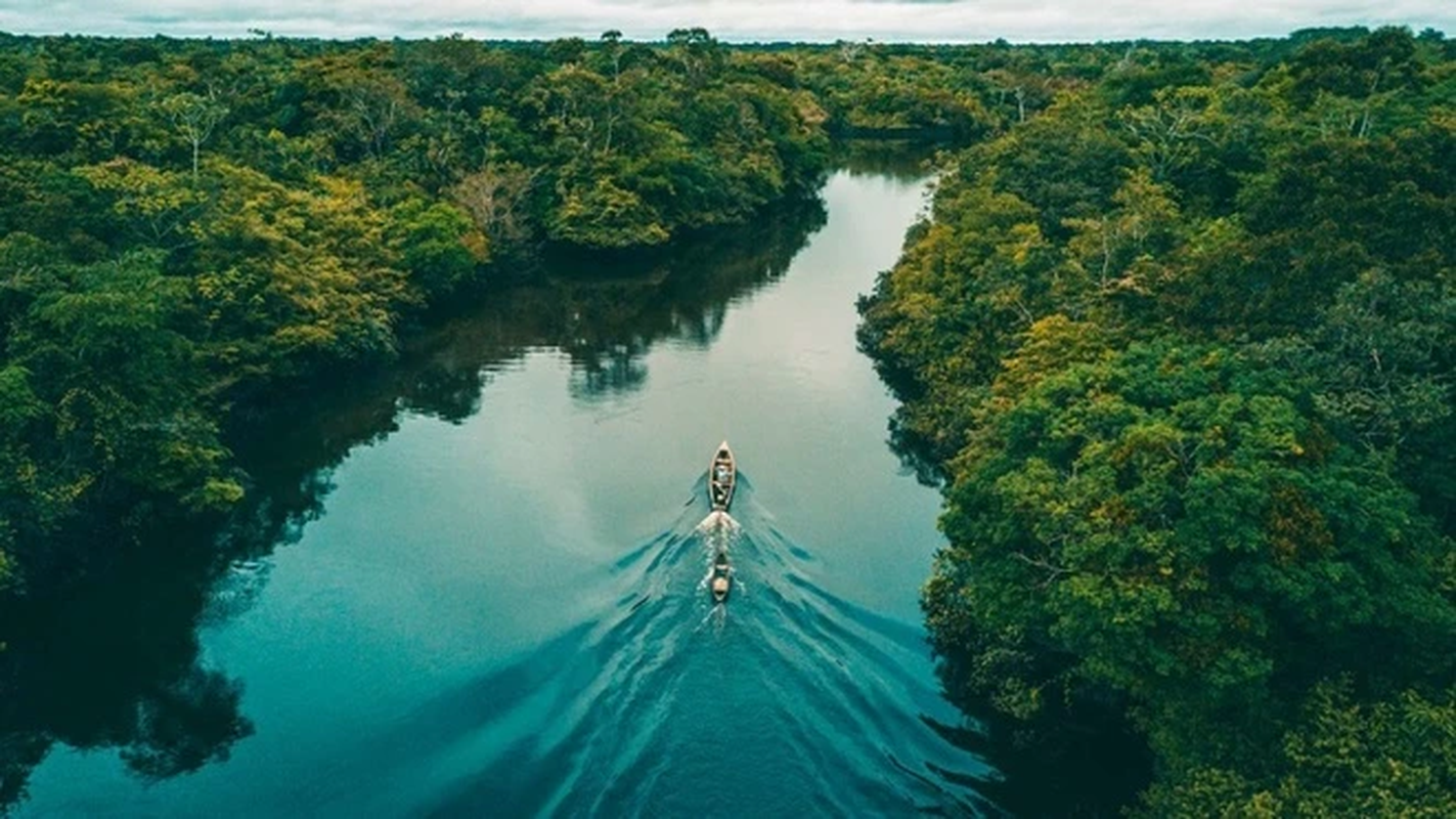             Sự thật chấn động về thuỷ quái khổng lồ ẩn mình dưới sông Amazon    