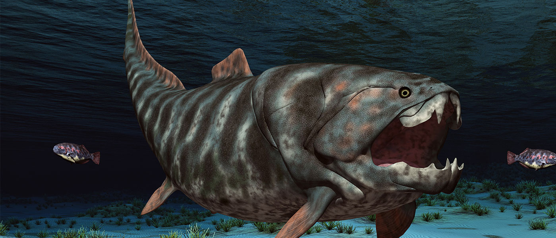 View -             Lộ quái vật 358 triệu tuổi chỉ một miếng cắn mất 23 kg thịt    