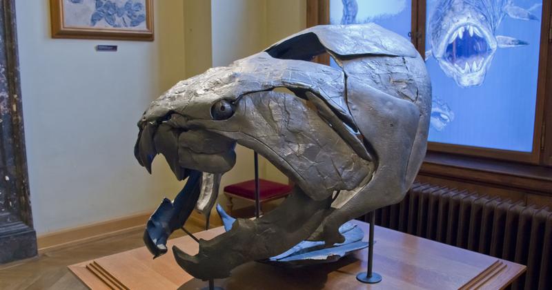 View -             Lộ quái vật 358 triệu tuổi chỉ một miếng cắn mất 23 kg thịt    