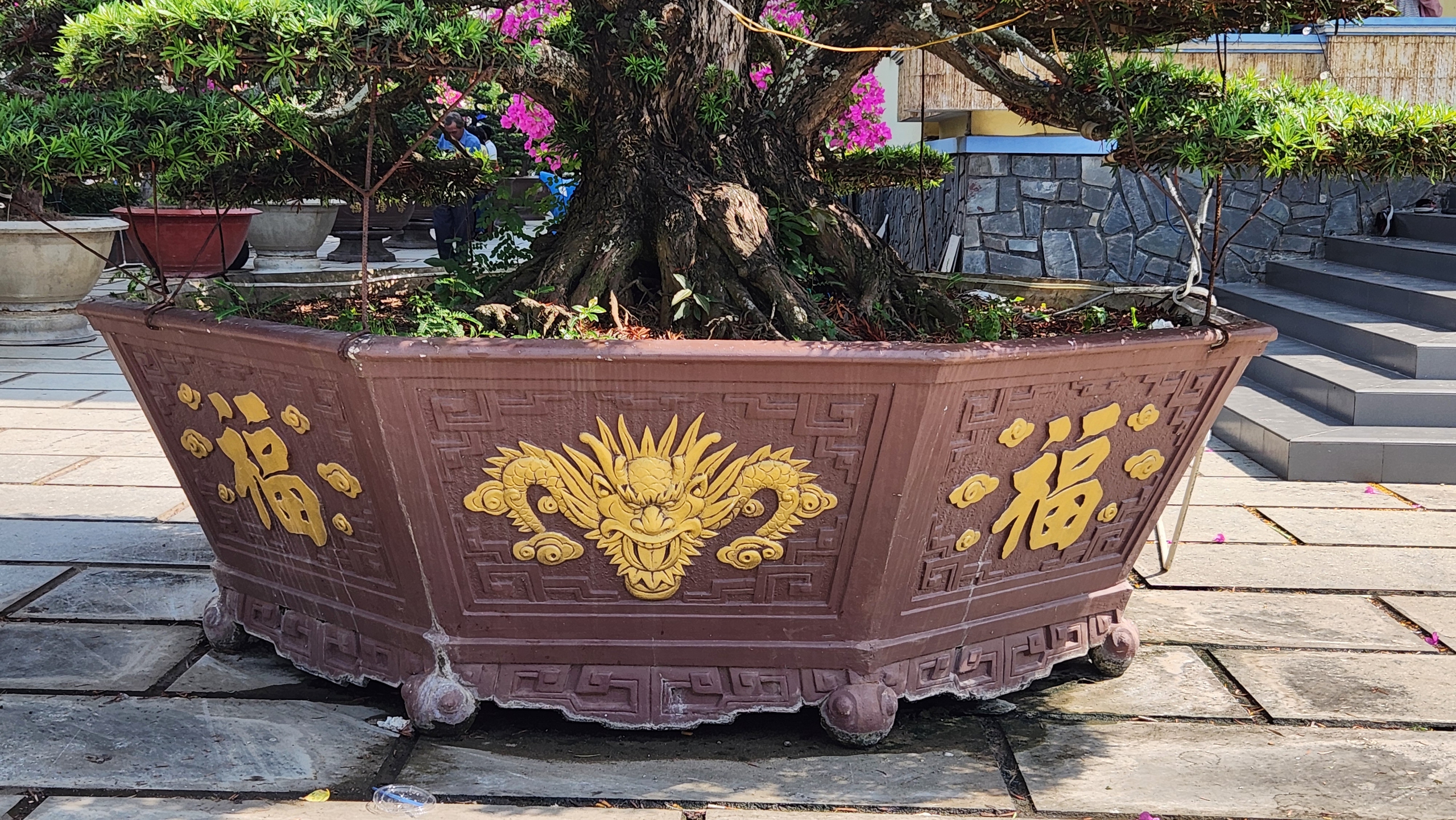 View -             Ngôi chùa có '9 con rồng uốn lượn trên mặt nước' ở Châu Đốc    