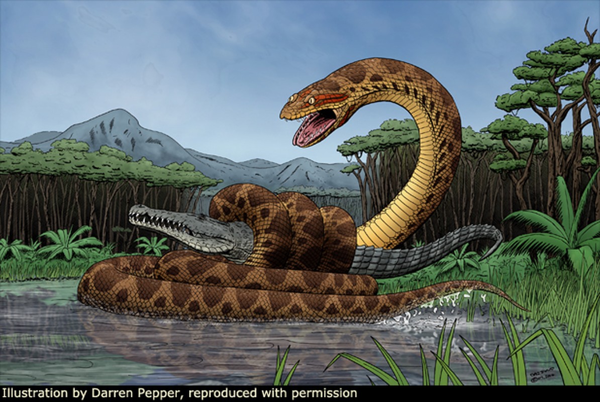             Loài rắn khổng lồ hơn 1 tấn từng ngự trị trên Trái đất    