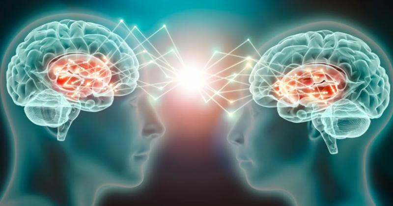 View -             Nghiên cứu mới chứng minh 'bộ não của đàn ông và phụ nữ hoạt động khác nhau'    