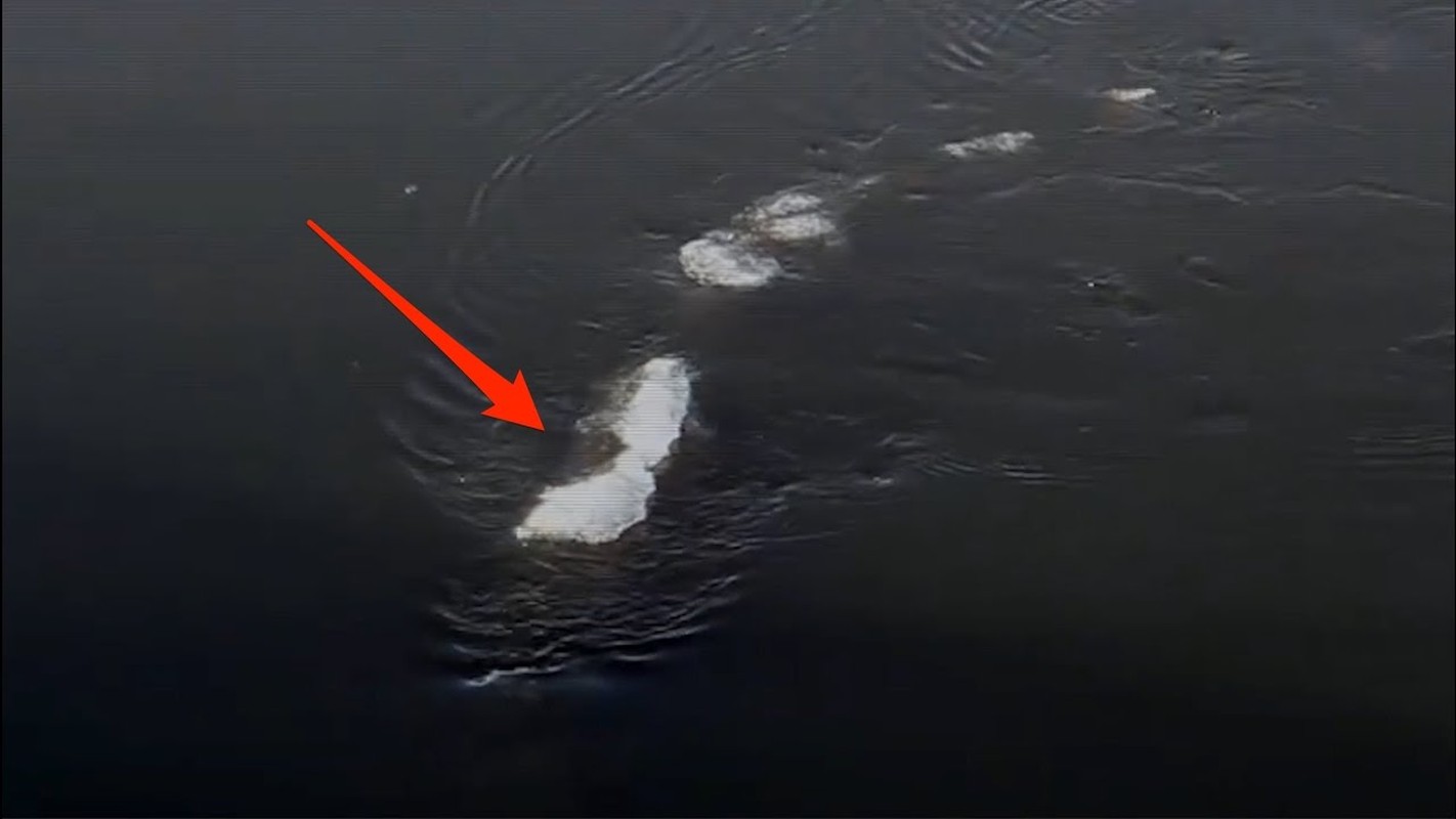 View -             Nóng: Quái vật hồ Loch Ness có 'anh em' trú ngụ ở Alaska?    